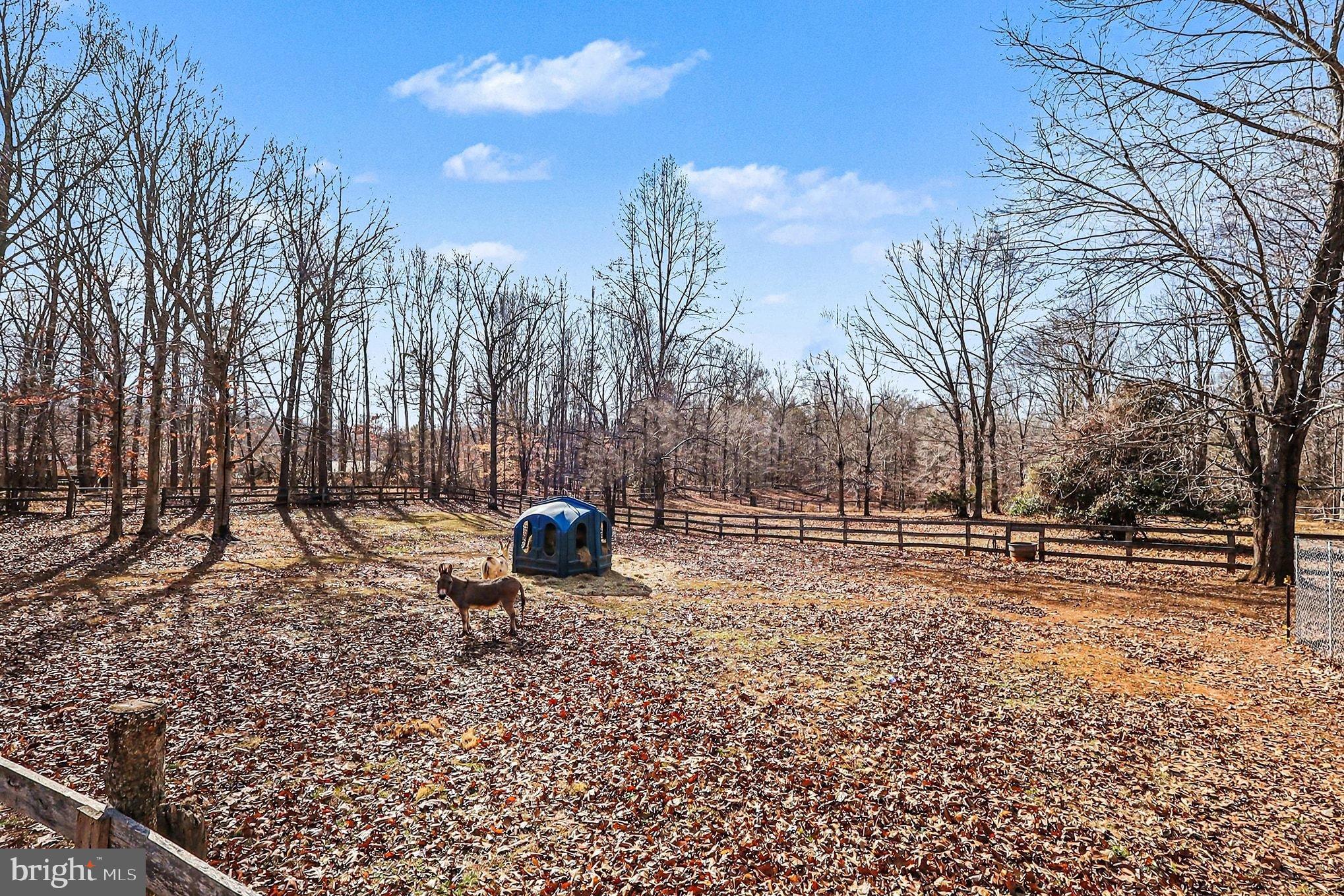 W W SPILMAN DIVISION - Residential