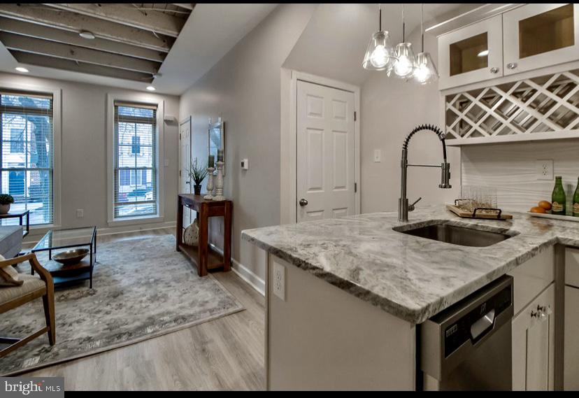 PIGTOWN HISTORIC DISTRICT - Residential Income