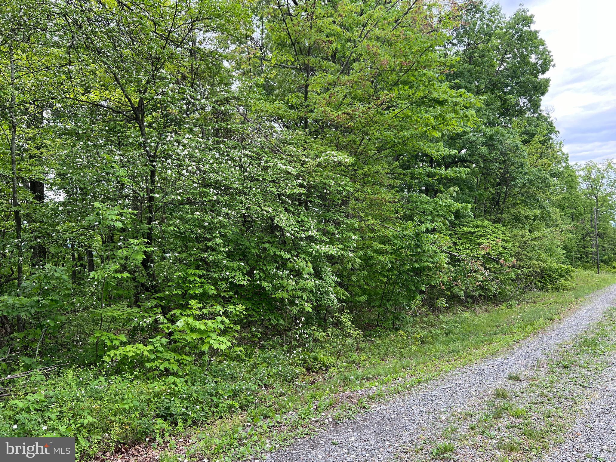 QUAINT HILLS MOUNTAIN SECTION - Land