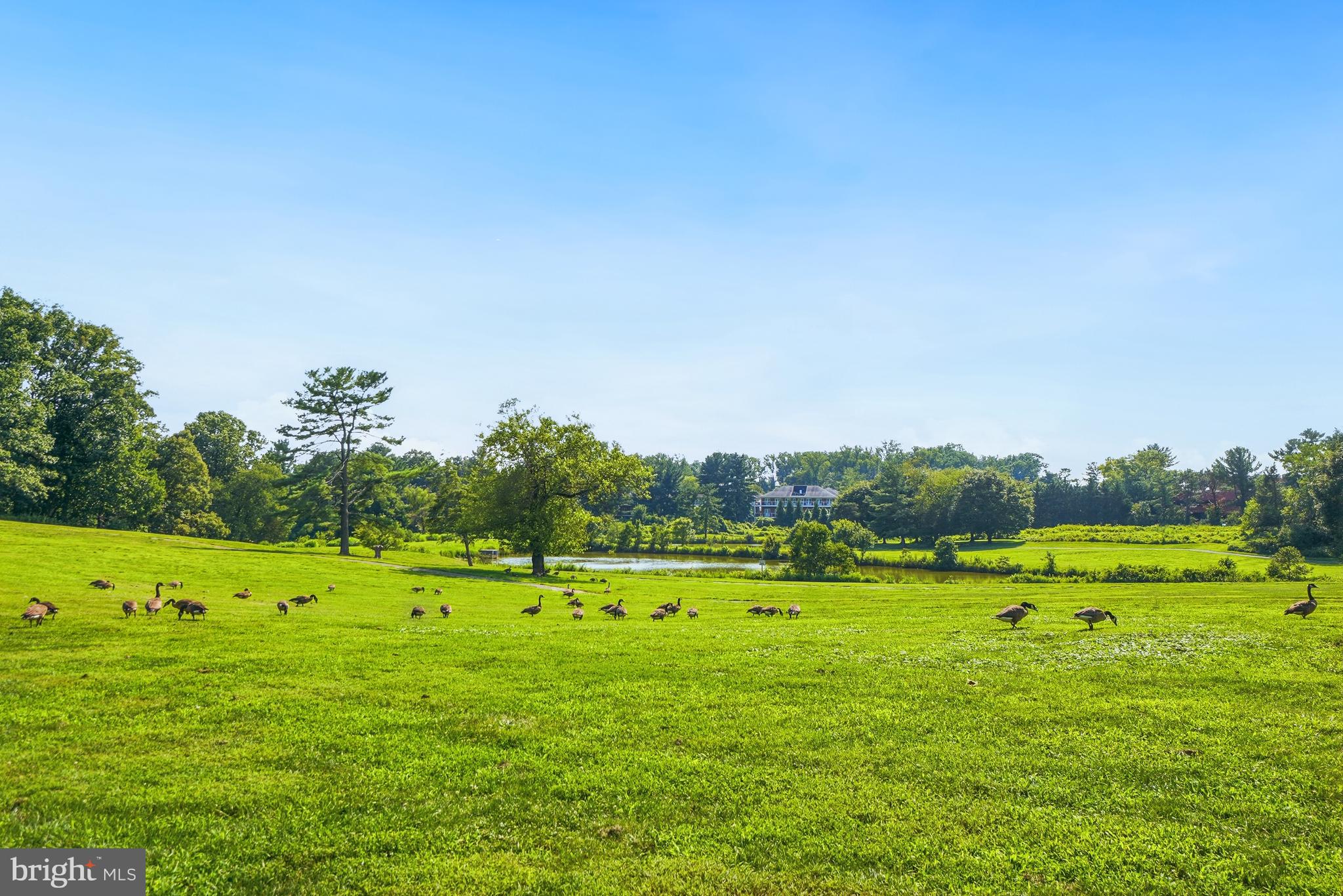 NORTH CREEK - Residential