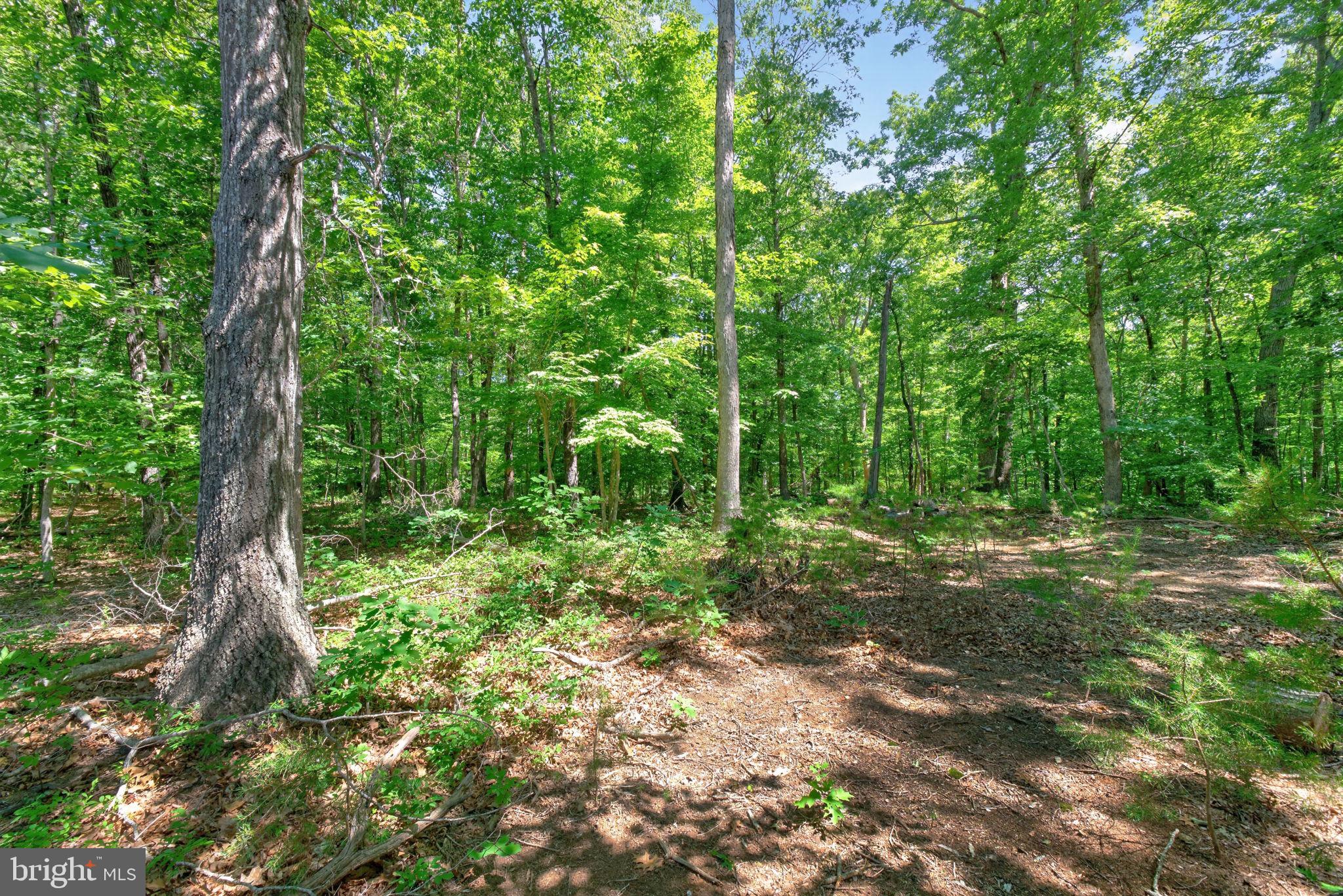 BOWLERS MILL LAKE ESTATES - Residential