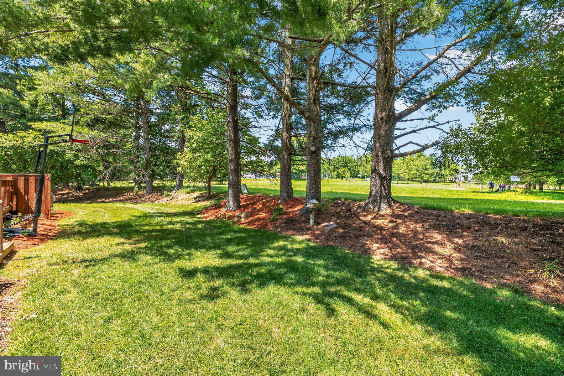 DORSEY SEARCH - Residential