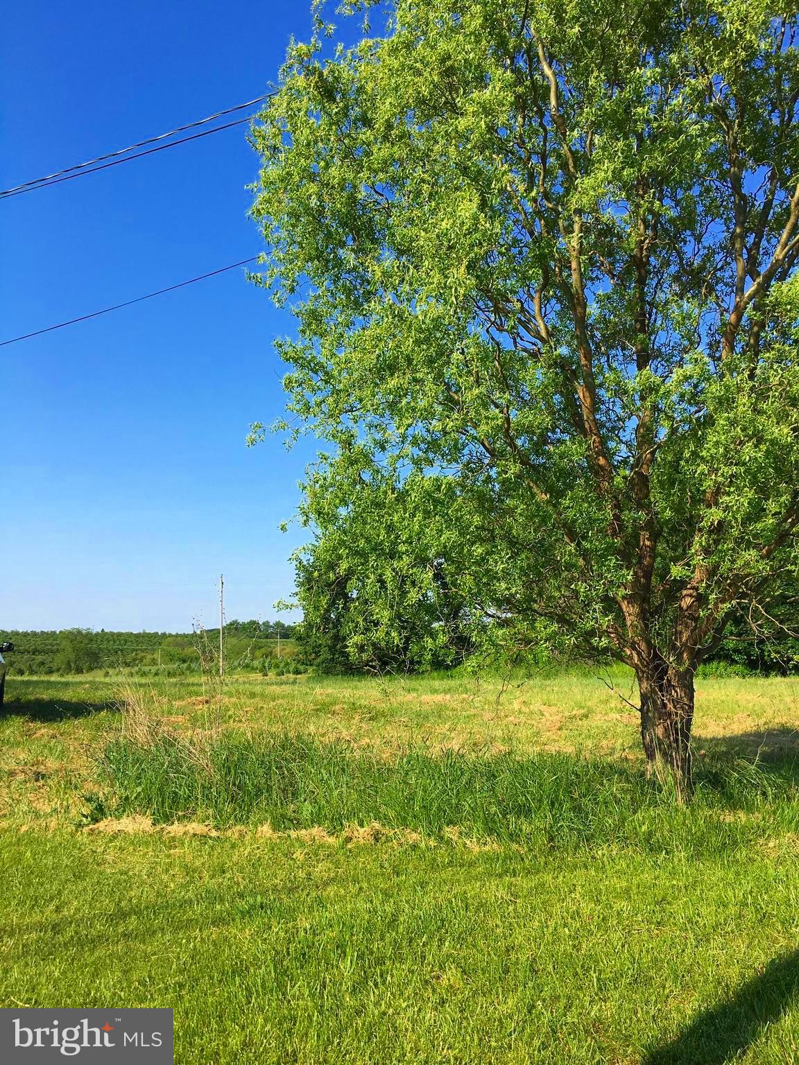 Come see this lovely piece of property which is backed by a Christmas  tree farm! Nice level lot to build your dream home. Beautiful country setting.  Public sewer hook-up available. Will have to drill well. Don't miss out on this piece of country charm!