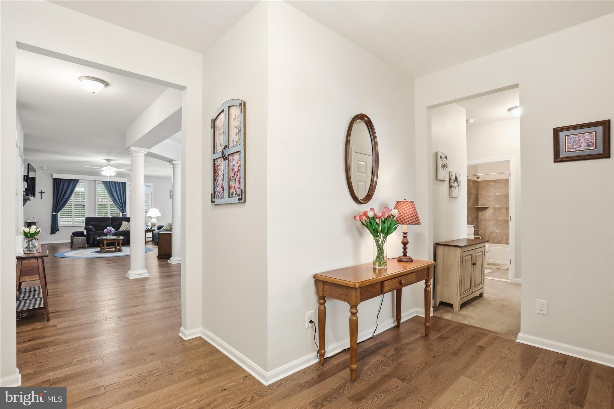 CANTER ESTATES - Residential