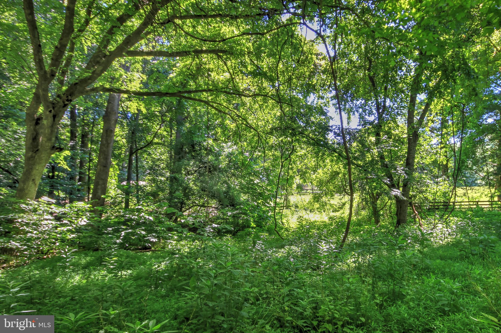 5 acres abutting River Bend park!