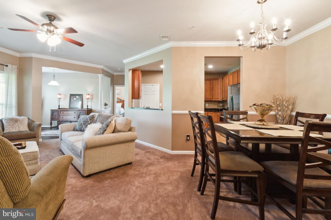 MONMOUTH MEADOWS - Residential