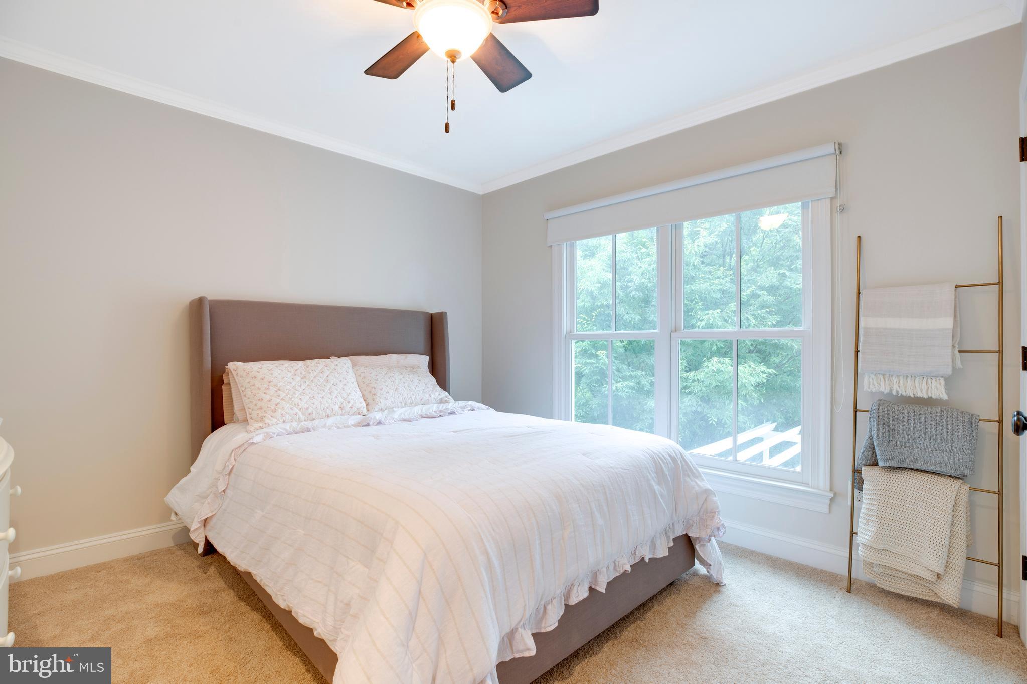 DOWNTOWN LEESBURG - Residential