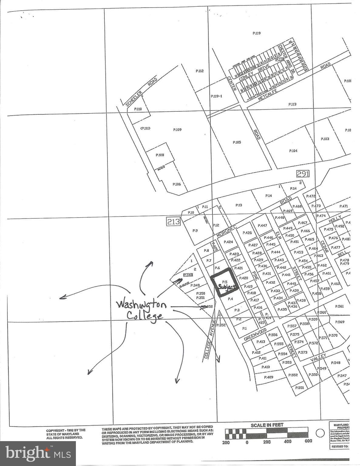 Main image without alt text