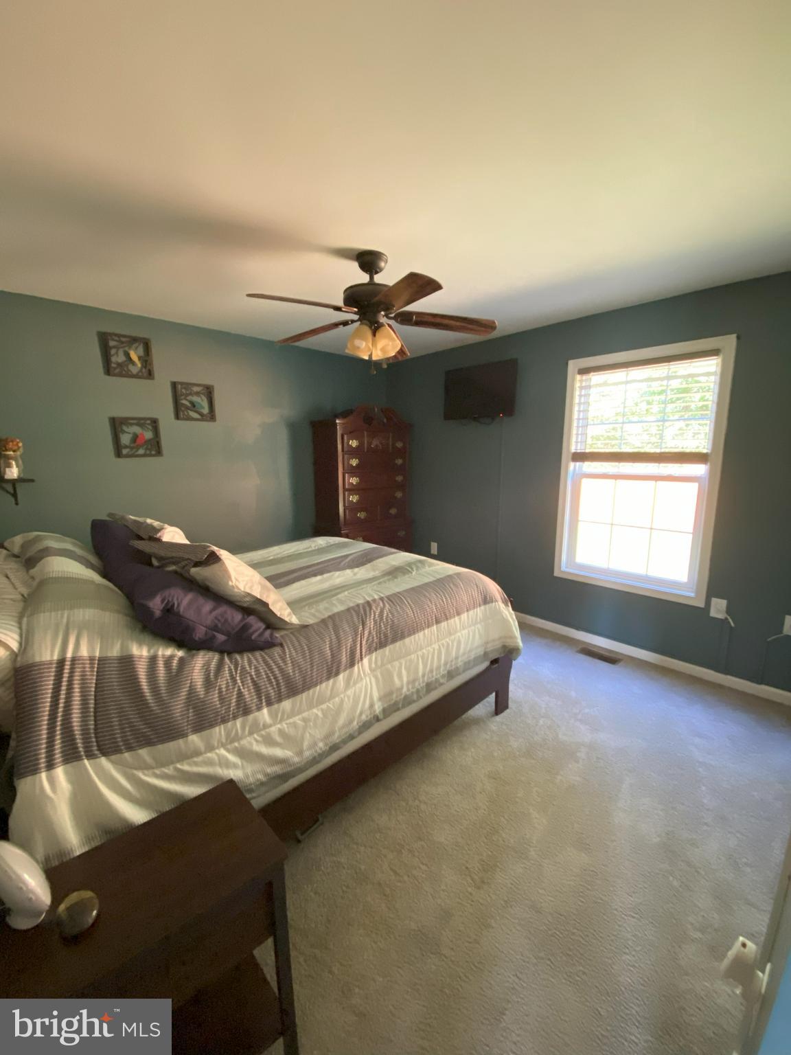 CHESSIE COURT - Residential