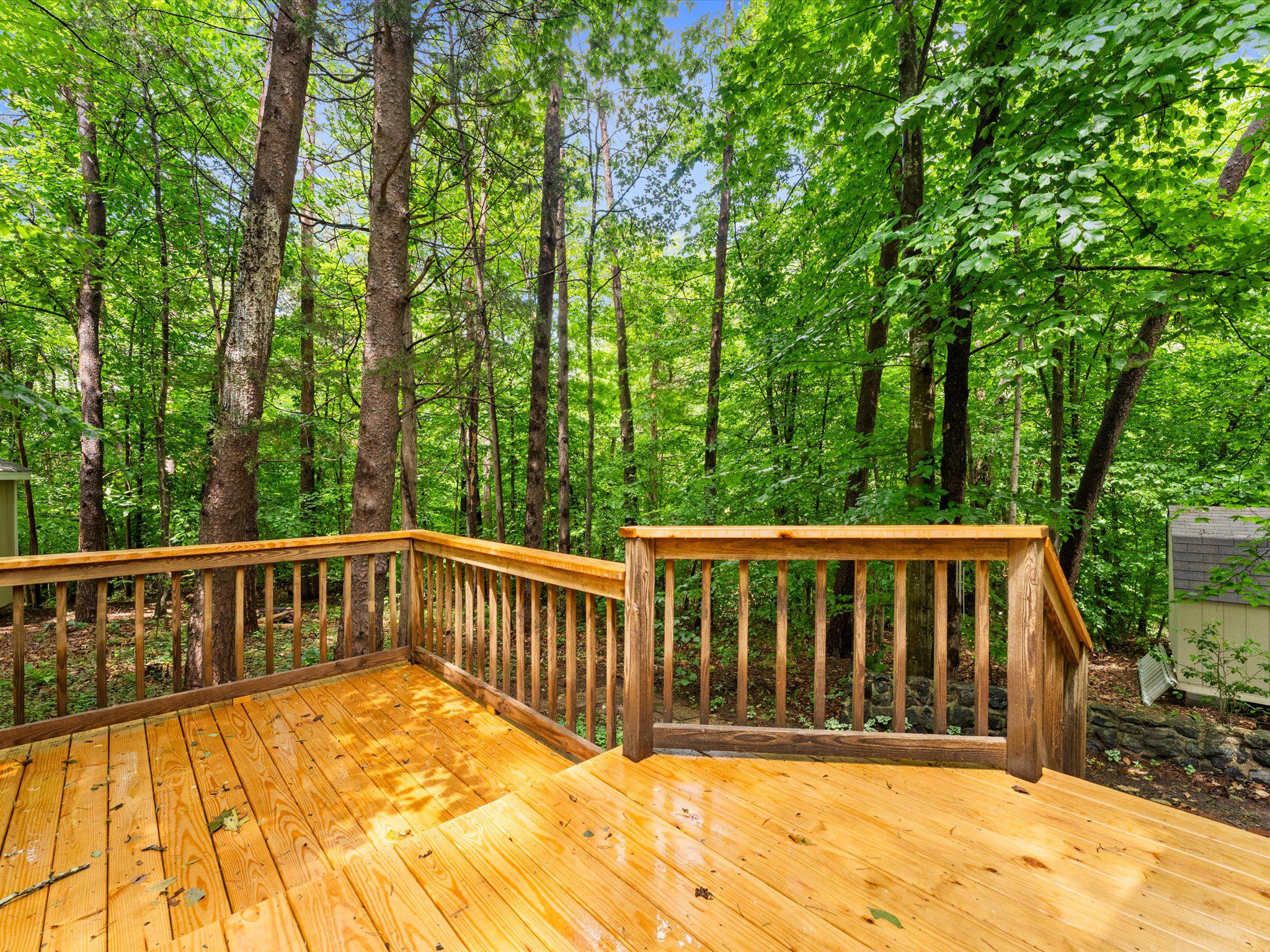 CEDAR DRIVE - Residential