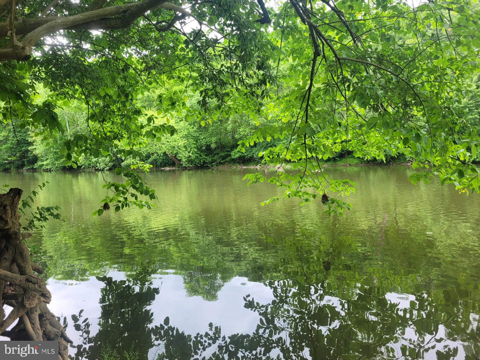 CACAPON RAPIDS - Land