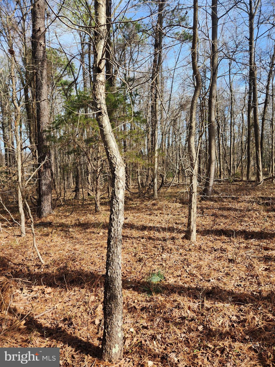 Own your very own wooded hill top overlooking Lake Independence in Potomac River Waterfront Community of Stratford Harbor. Take advantage of the amenities- lake, pool, clubhouse, tennis courts, playground, marina, boat & trailer storage for small annual fee. Preliminary soil work indicates  the soils are suitable for a 3 bedroom conventional septic and drainfield.  HOA fee is $450 per year and Dam assessment fee is $495 per year.