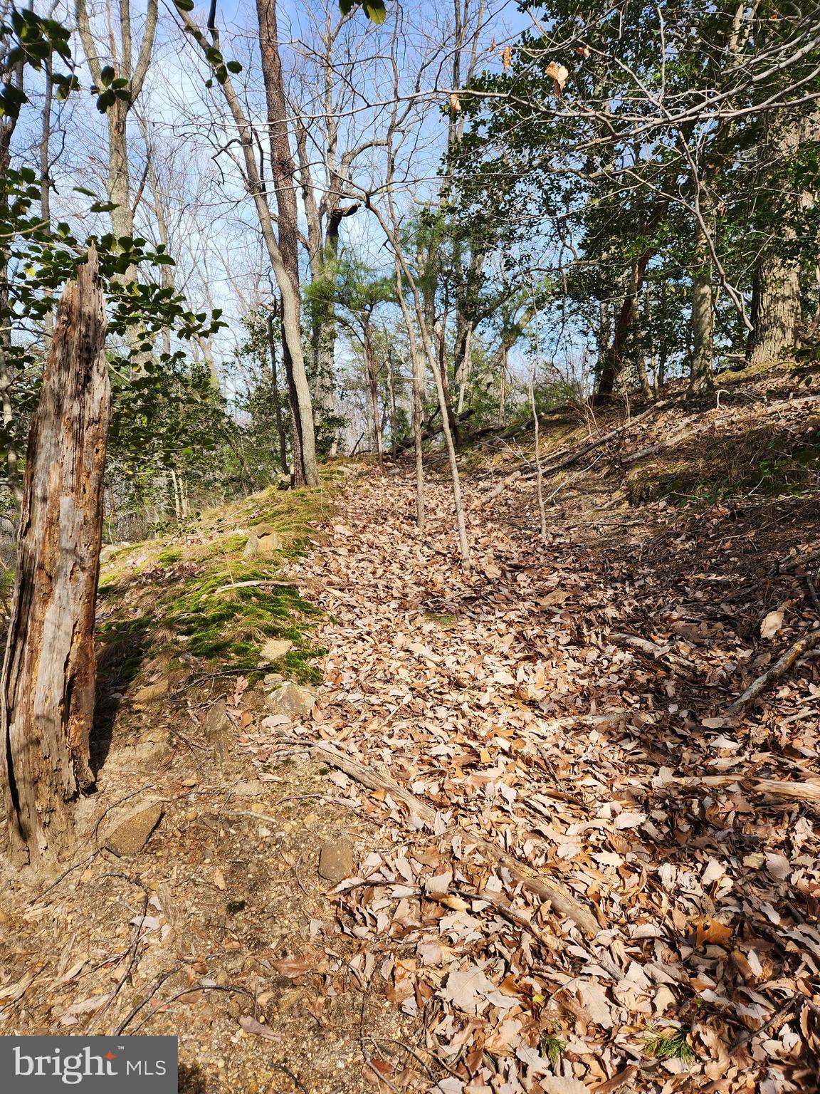 NOMINI CLIFFS - Land
