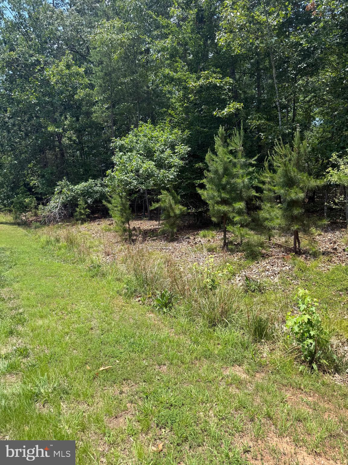 FRESHWATER ESTATES - Land
