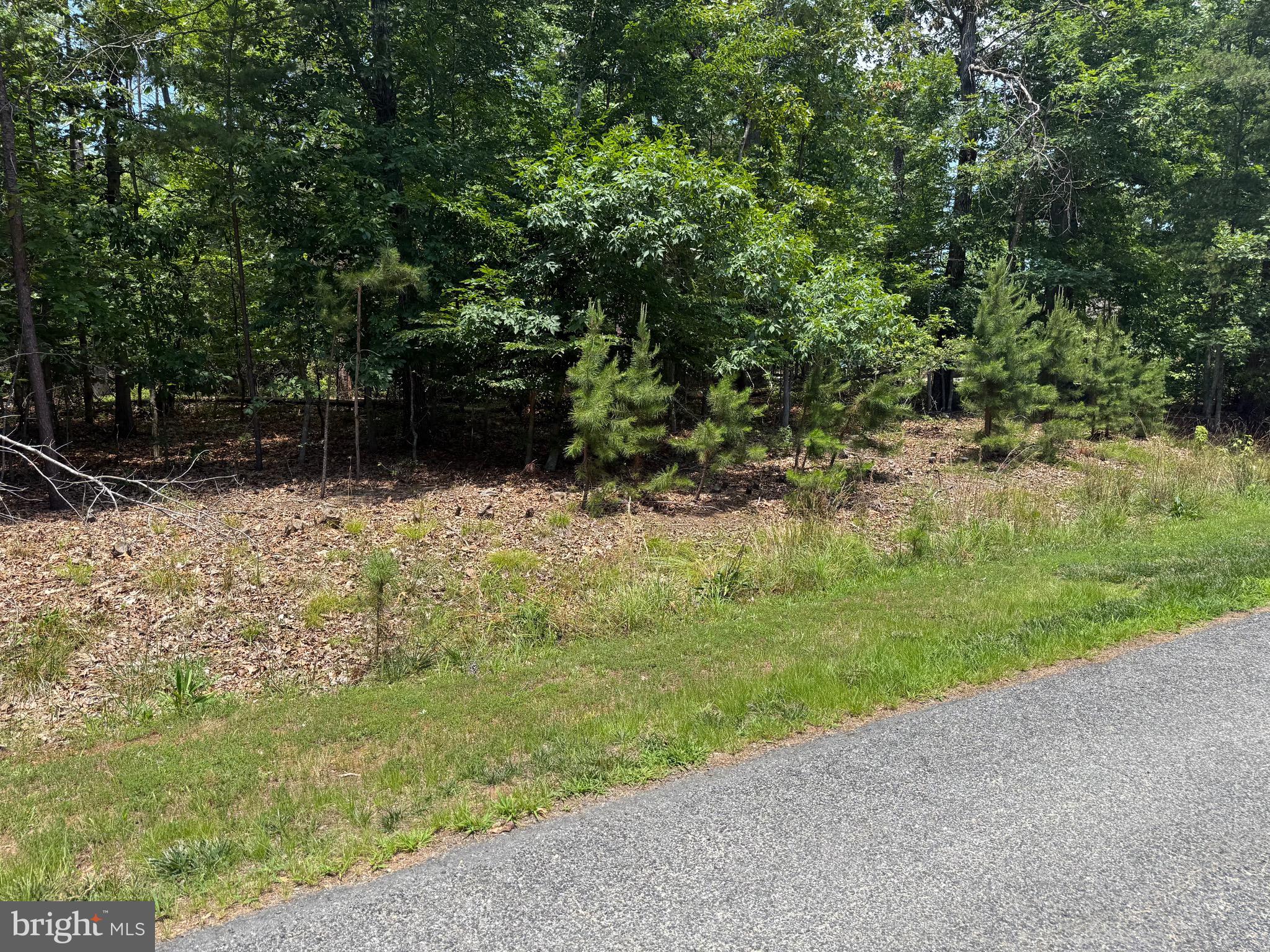 FRESHWATER ESTATES - Land