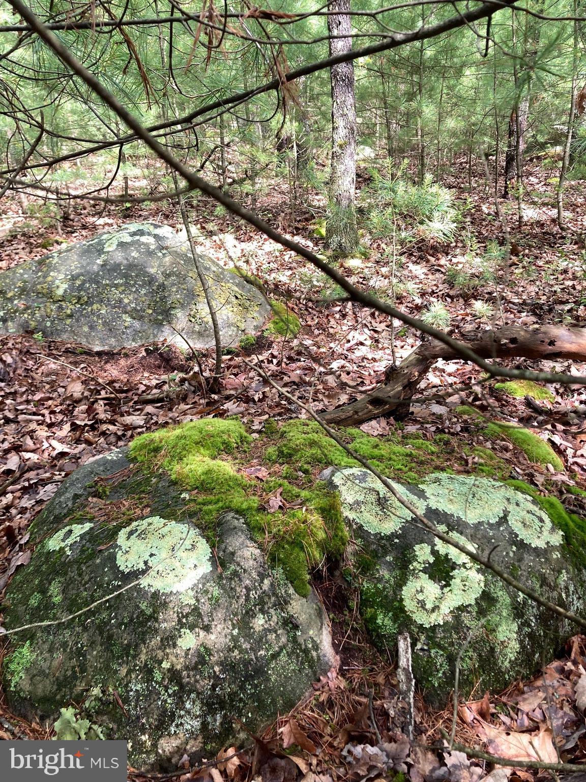 QUAKER WOODS - Land
