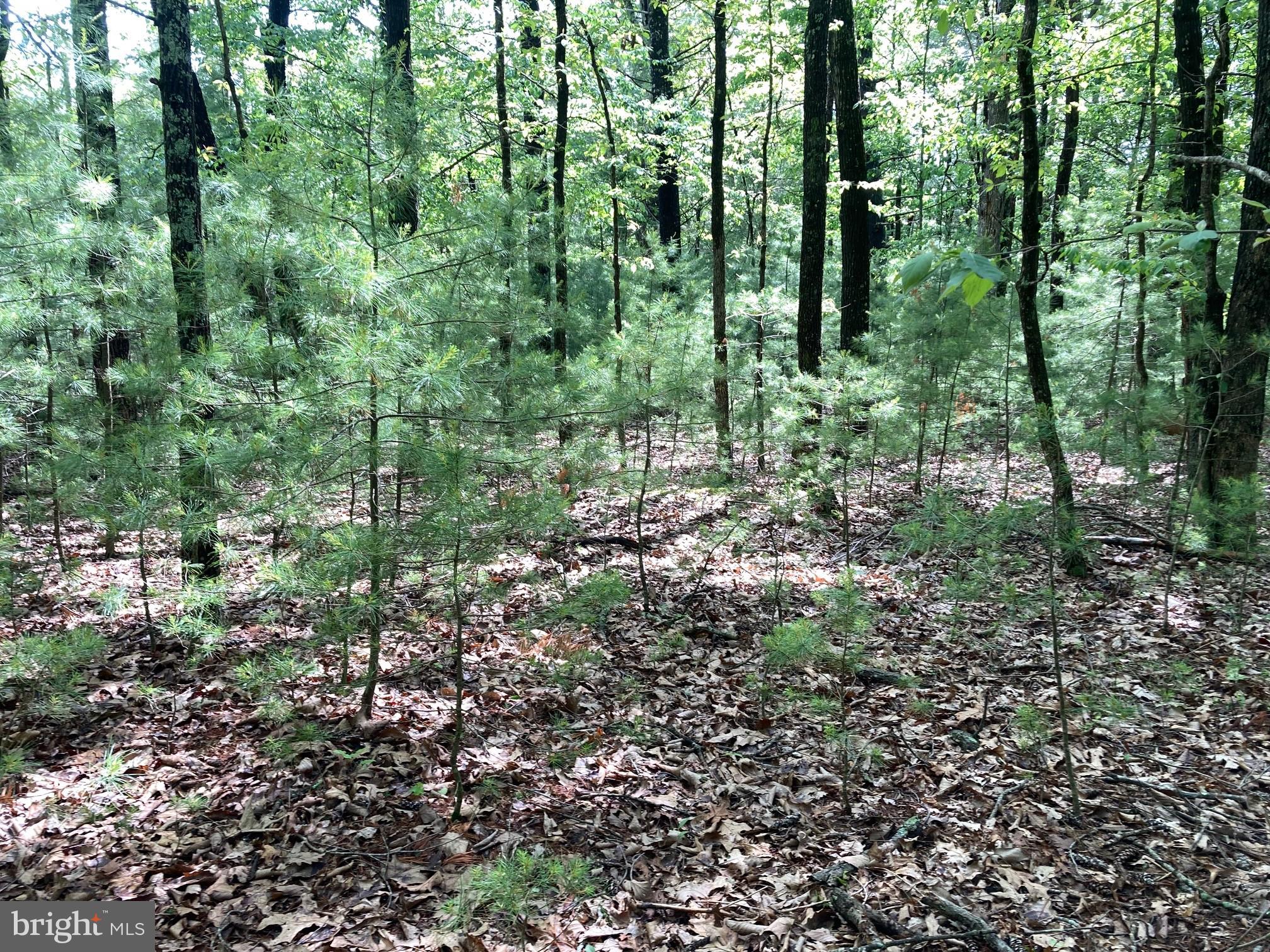 QUAKER WOODS - Land