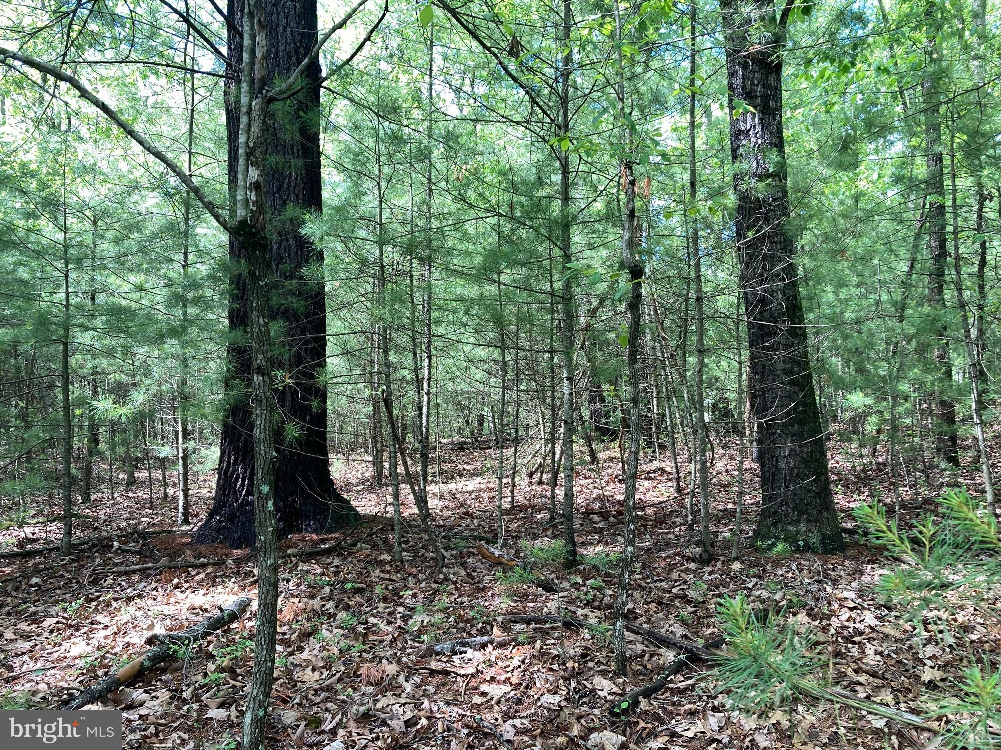 QUAKER WOODS - Land