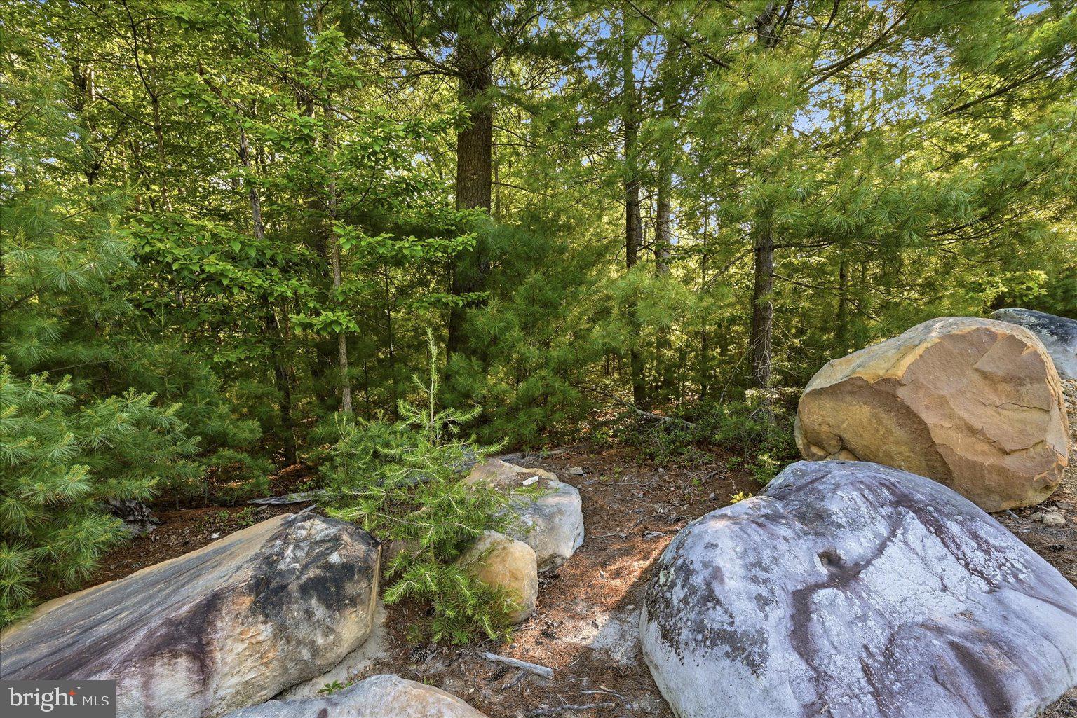 QUAKER WOODS - Land