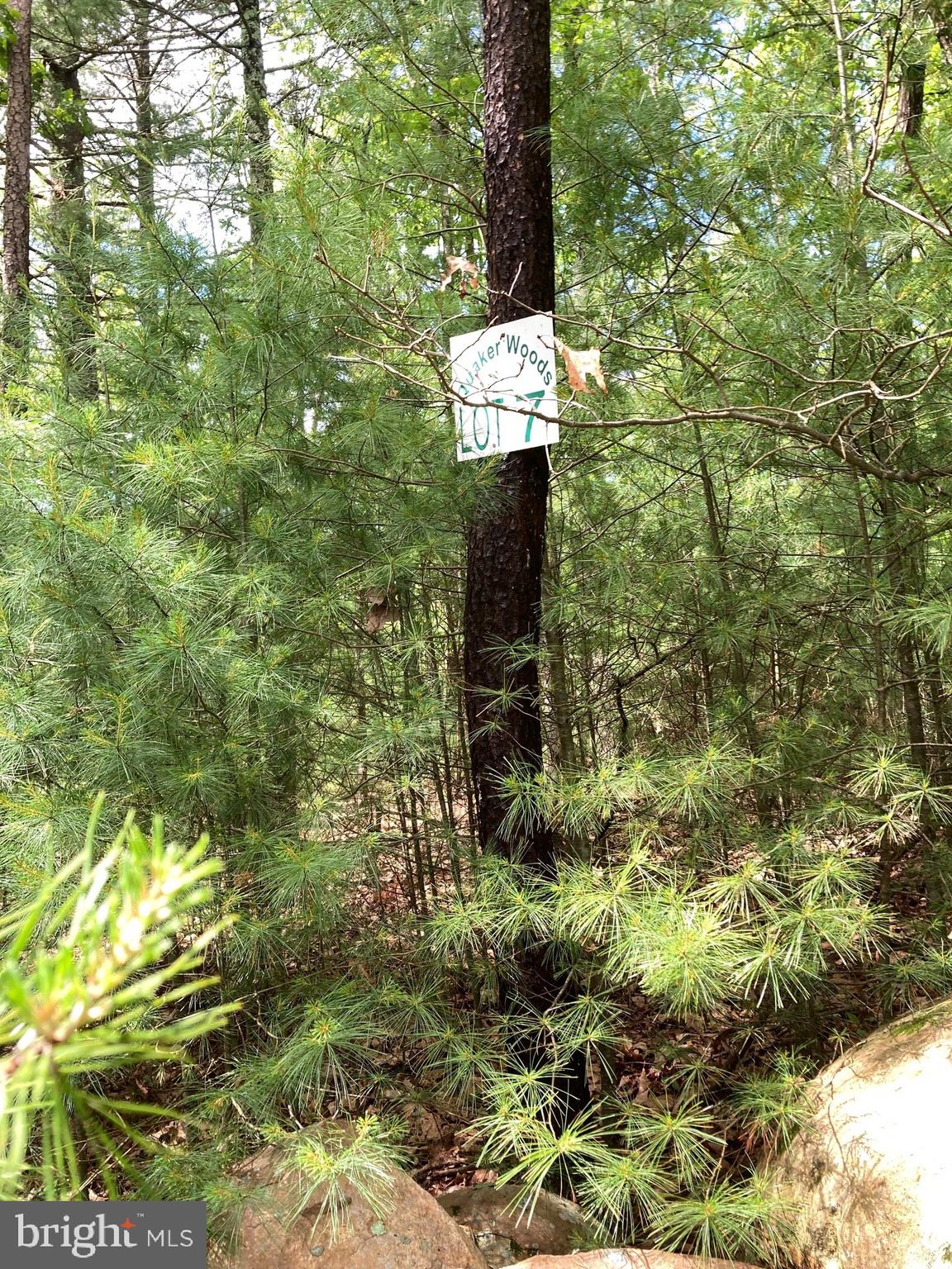 QUAKER WOODS - Land