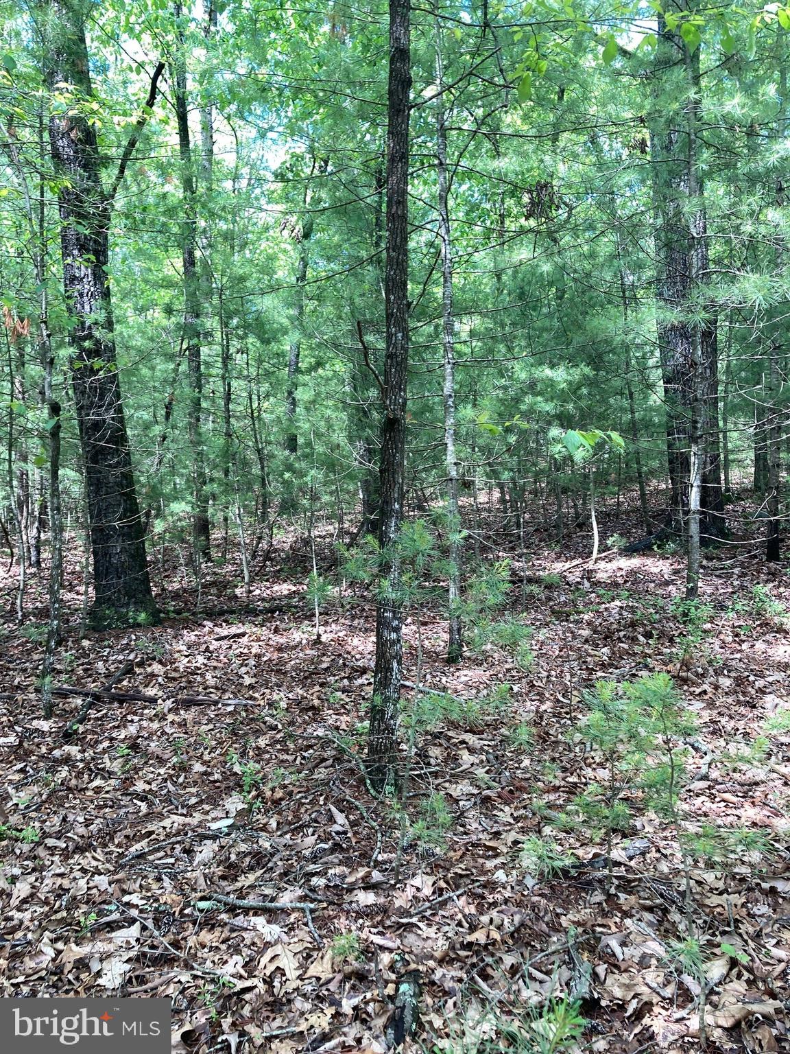 QUAKER WOODS - Land