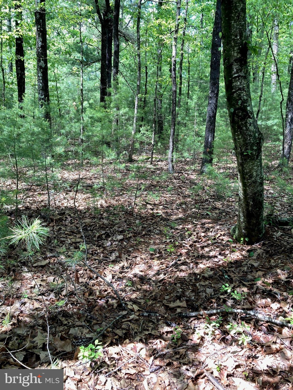 QUAKER WOODS - Land