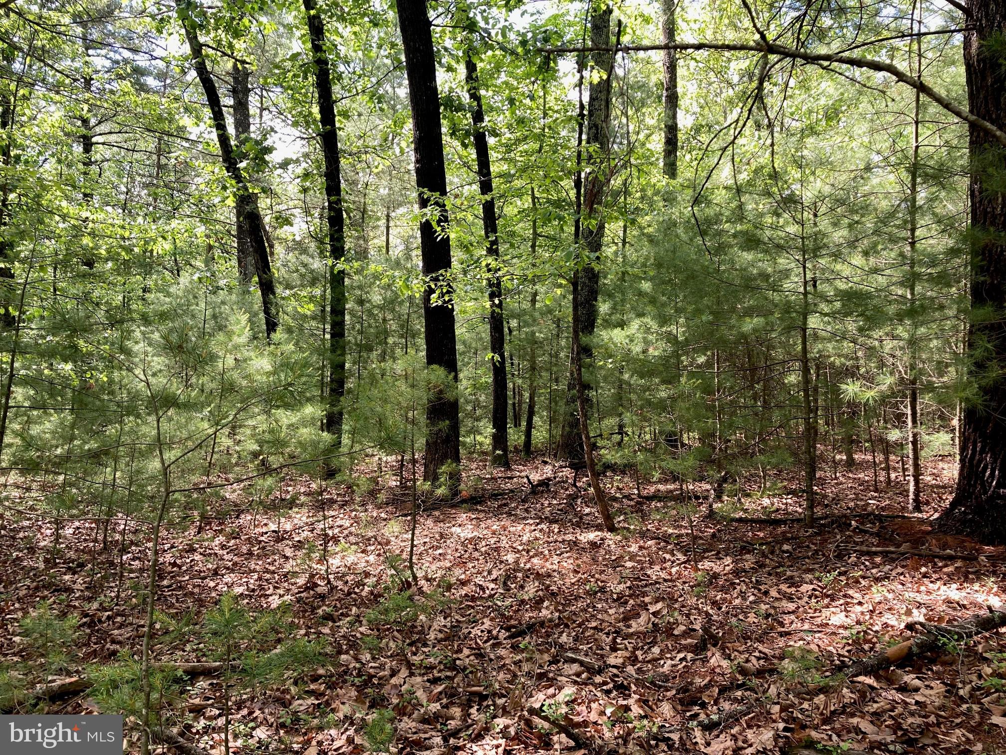 QUAKER WOODS - Land