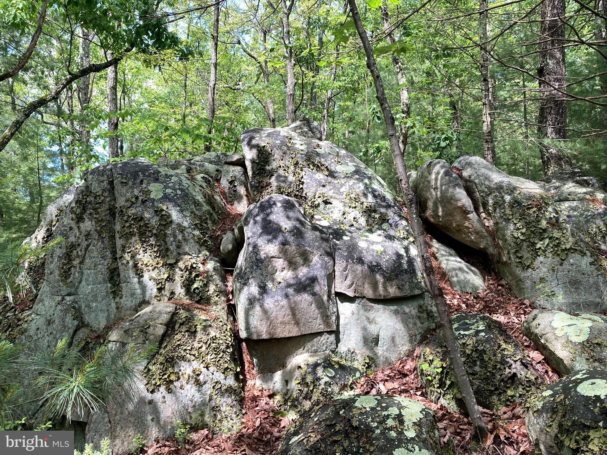 QUAKER WOODS - Land