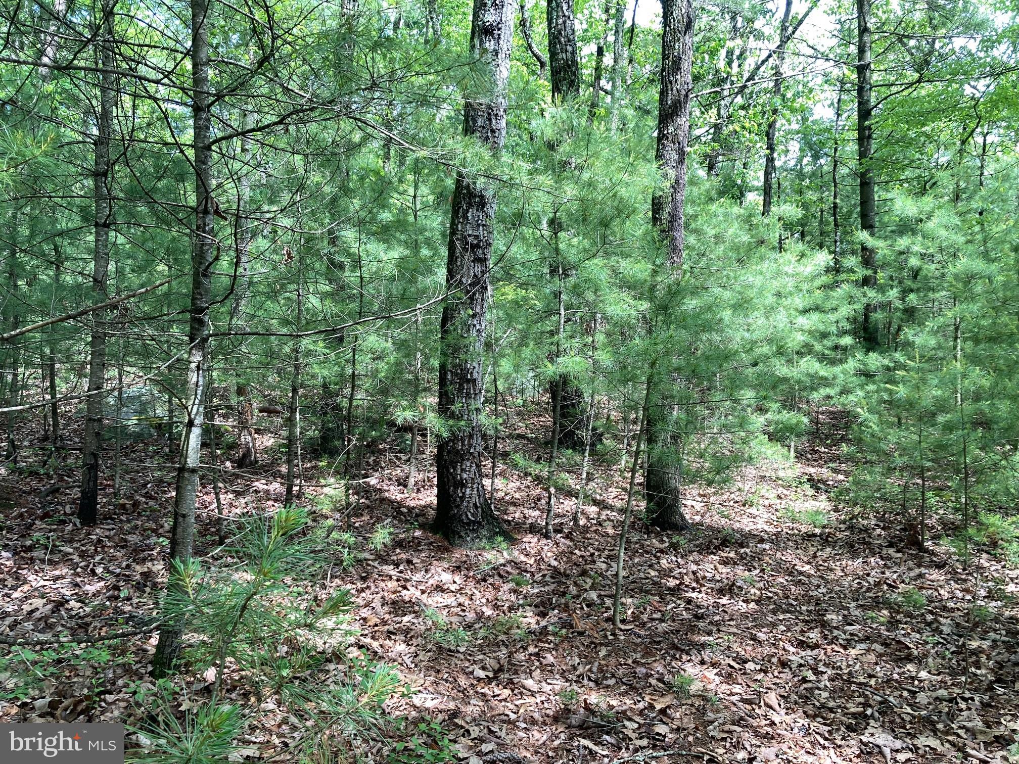 QUAKER WOODS - Land