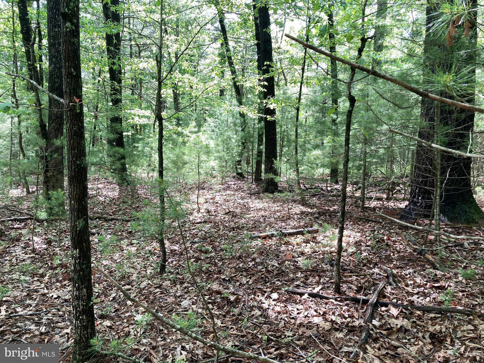 QUAKER WOODS - Land