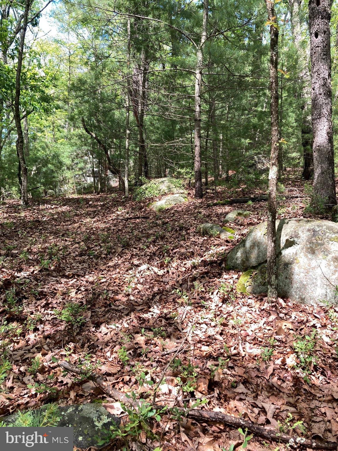 QUAKER WOODS - Land