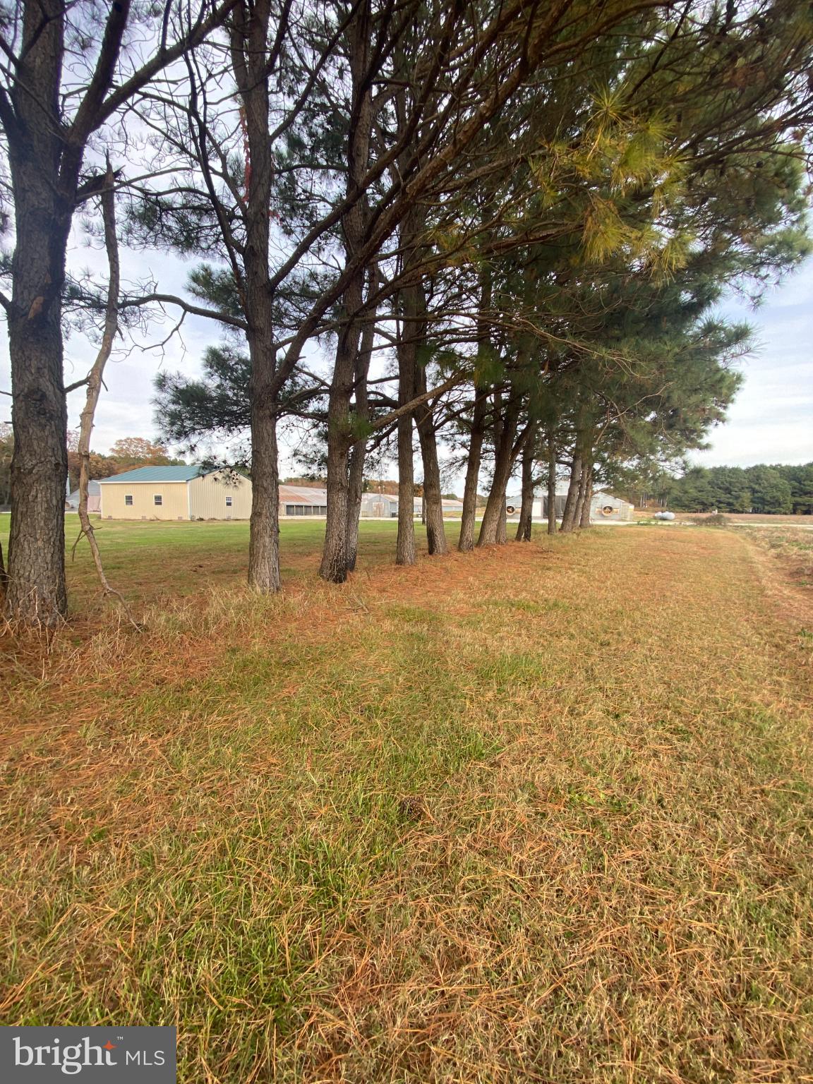 NONE AVAILABLE - Farm