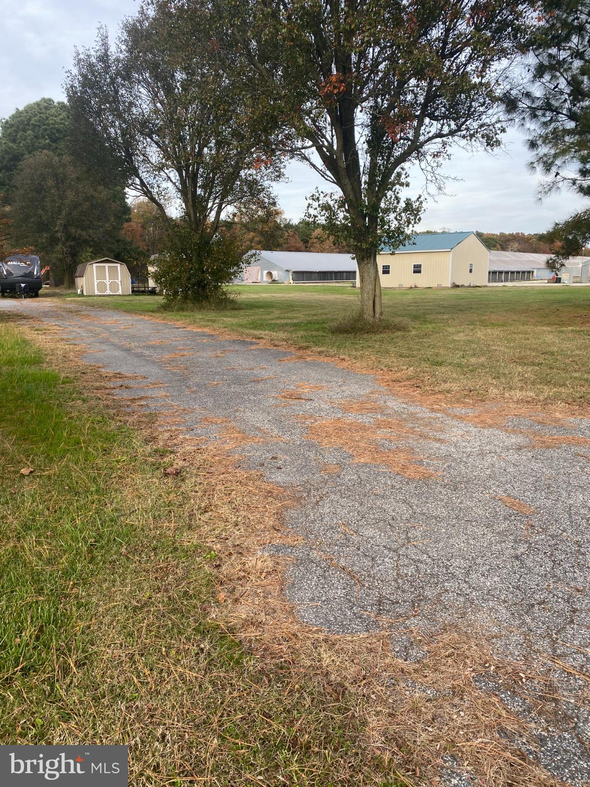 NONE AVAILABLE - Farm