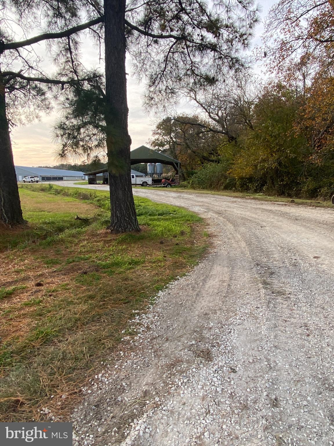 Serious Buyers wanting to have Ownership of top agricultural business  with an improvement in Price - Don't miss this well maintained producing farm - Perfect size farm-   Somerset County Farm -Let’s talk about this farm it is a turn-key agricultural business with an active, income-producing contract. This opportunity is available for you. Let’s look at the specs of this farm:
*   **House 1: ** 66' x 500' equipped with Choretime Feeders and Nipples.
*   **House 2: ** 66' x 500' equipped with Choretime Feeders and Nipples.
*   **House 3: ** 42' x 500' equipped with Val-co Feeders and Choretime Nipples.
*   **House 4: ** 42' x 500' equipped with Choretime Feeders and Nipples.
*   **House 5: ** 45' x 500' equipped with Val-co Nipples and Feeders.
*   **Two Manure Sheds** for efficient waste management.
*   **Two Generators** ensuring operational continuity through any power outage.
*   A **New Alarm System** for 24/7 monitoring and peace of mind.
CAPACITY - This is where the business makes its money. With a total capacity of 124,200 birds, this farm operates at a scale designed for profitability. It's currently configured for growing large birds, and with an average of 4.5 flocks per year. Seller has maintained the farm but has done work through the years and flocks. Seller has installed all newer fan motors and cool pads replaced within the last two years mean lower maintenance costs and higher energy efficiency from day one. The Seller will be surveying off approximately 2 acres the other house in front of pond. The 2 other parcels are farmed by local farmer with the owner receiving additional $600.00 year. This is a chance to step into a business on day one, not start one from scratch. Farms have a active contract.The property spans over 22 acres across multiple parcels (less the approx. 2 acre second house area), creating a substantial and scalable footprint. It features a three-bedroom home, a nice 30x30 (newer) two-car shop for all your equipment and projects, and critical infrastructure like manure sheds and those vital generators. This farm is in a flood zone but is already calculated with lender today approx.  $6000 year) This is a business in motion, and we have all the details for you. Great farm for your future 5 house farm is perfect size farm, come make your appointments today.