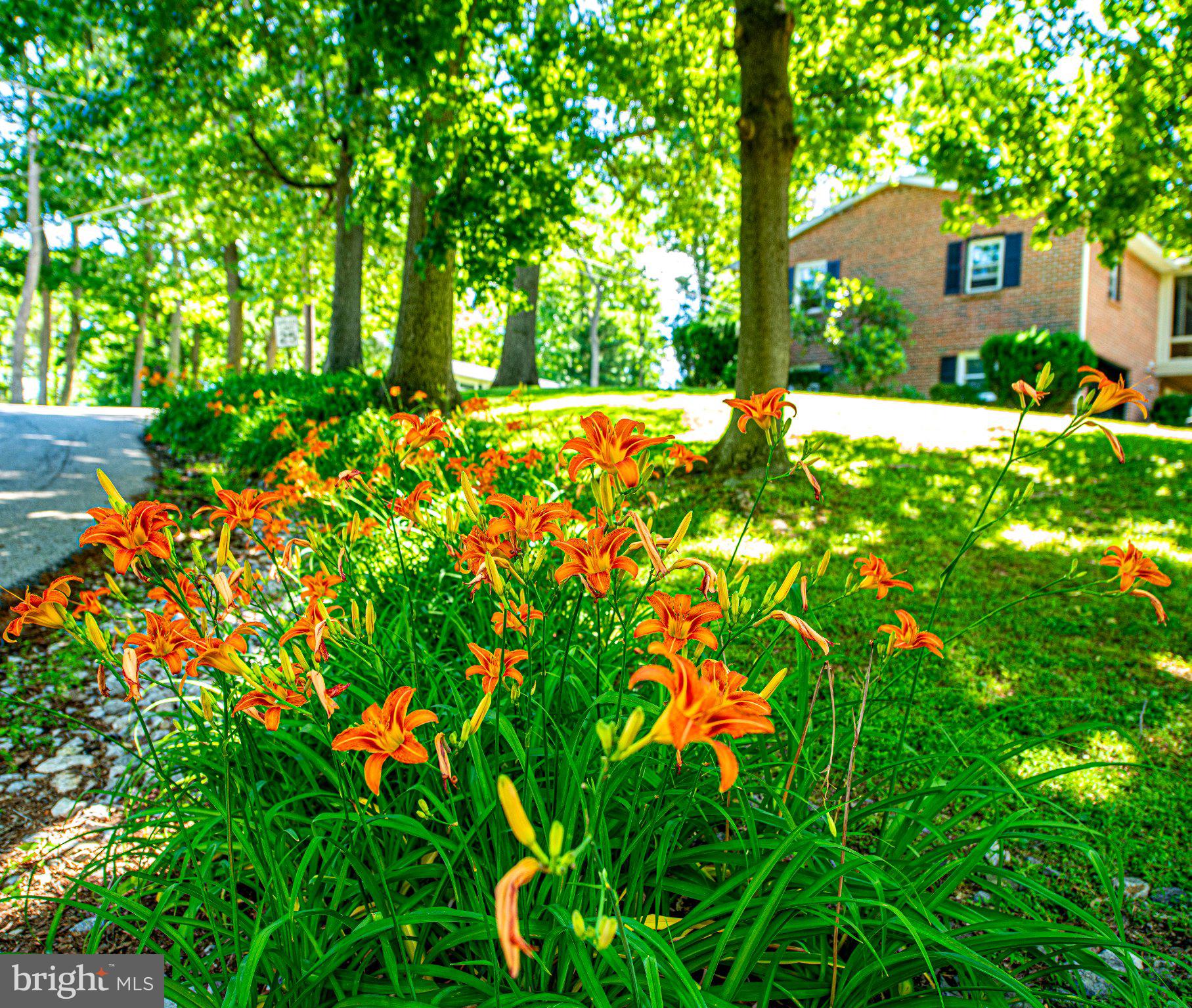 FOREST LAKES - Residential