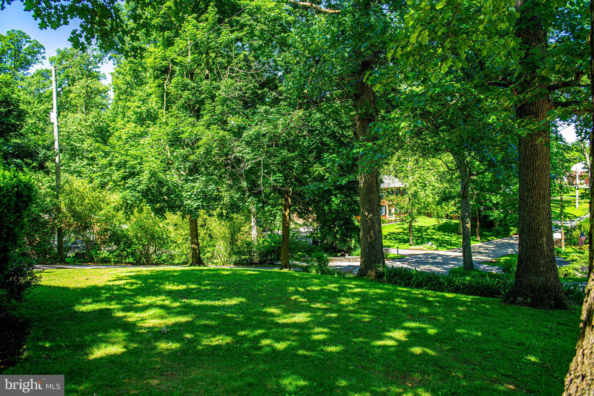 FOREST LAKES - Residential