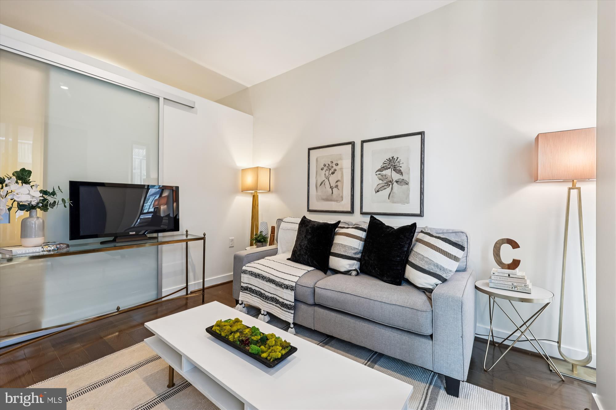 DOWNTOWN SILVER SPRING - Residential