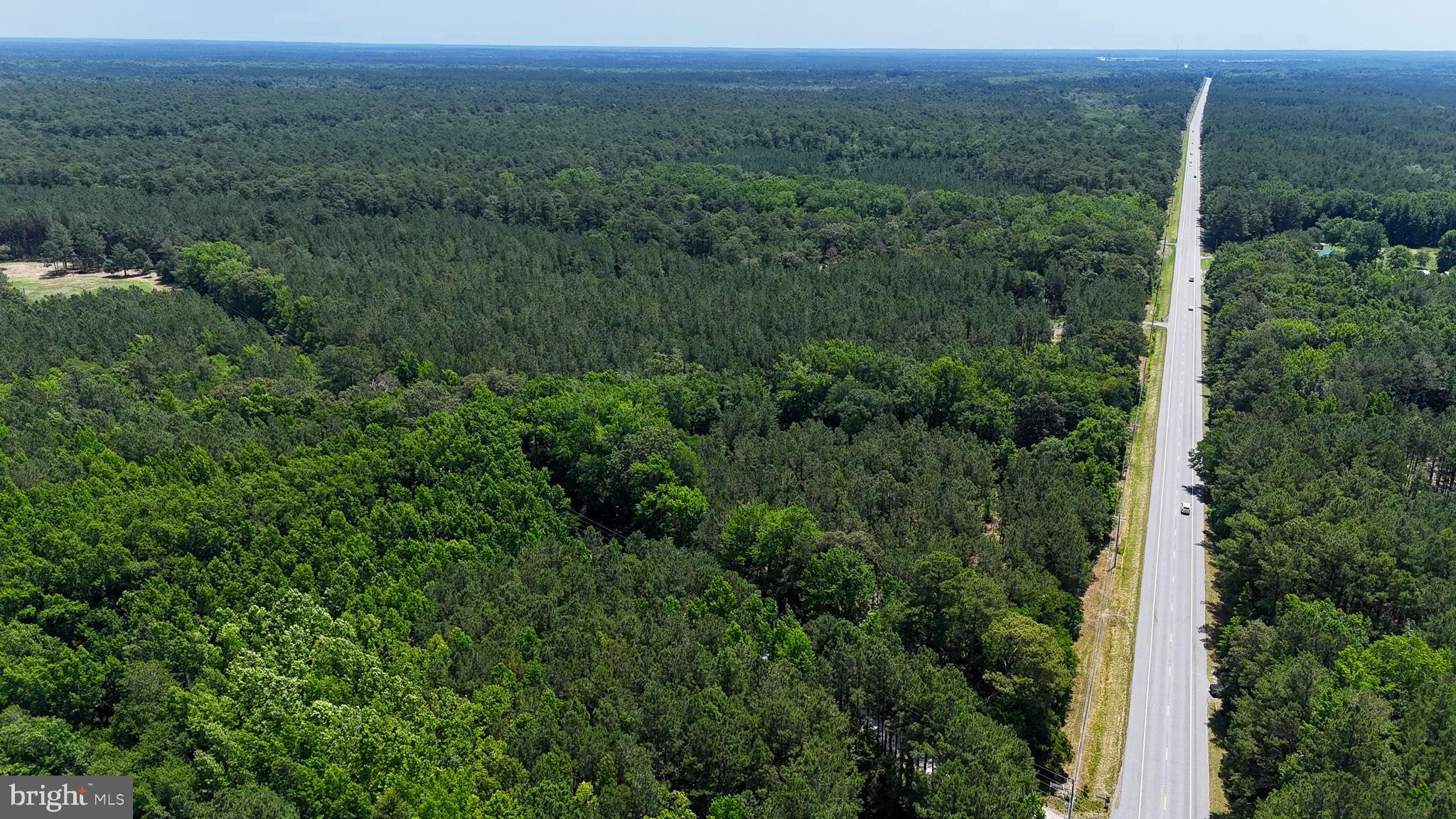 Located along Snow Hill Road in Worcester County, this 21± acre property offers a combination of acreage, extensive road frontage, and future planning potential in a convenient Eastern Shore location. Zoned Agricultural, the property features over 1,000 feet of frontage along Snow Hill Road and consists primarily of managed pine timber that is over 20 years old, along with scattered hardwoods throughout the tract. The timber stand was previously thinned as part of ongoing forest management efforts, creating improved visibility and accessibility across much of the property while maintaining the character and privacy of a wooded setting. Open trails extend from the rear of the property to the road frontage, allowing easy access throughout much of the acreage for walking, wildlife observation, recreation, and land management activities. One of the notable features of the property is the presence of two proposed 10,000-square-foot sewage reserve areas identified on the site plan. Properties offering multiple sewage reserve areas on a parcel of this size are less commonly encountered and may provide additional flexibility for future planning opportunities, subject to county approvals and buyer verification. The property is currently enrolled in a stewardship program designed to assist with responsible forest management and long-term timber planning. Buyers should verify any future participation requirements or transfer provisions associated with the program. While the property provides hunting opportunities for deer, turkey, and other local wildlife, the primary appeal of this tract is its combination of acreage, over 1,000 feet of road frontage, and identified sewage reserve areas in a location convenient to Salisbury and surrounding communities. The property offers convenient access to nearby public hunting, fishing, restaurants, healthcare facilities, schools, and major travel corridors while maintaining the feel of a rural setting. Opportunities to acquire larger wooded tracts with documented sewage reserve areas, established access, and significant road frontage in this portion of Worcester County are relatively limited.