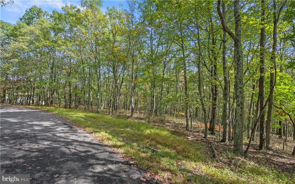 Tucked within the Jonas Mountain community of Penn Forest Township, this 1.23-acre wooded lot offers a rare opportunity to create a private mountain retreat surrounded by nature, yet within reach of the Poconos’ most sought-after destinations. Set along Stone Ridge Road, the parcel provides generous frontage and a natural landscape that blends mature trees with varied topography, offering flexibility for future design while maintaining a sense of seclusion. The setting is ideal for buyers seeking a custom-build opportunity in an established community known for its scenic surroundings and outdoor lifestyle. The property is zoned R-1 for single-family residential use, with recent perc testing and a completed survey performed by the owner in December 2025, providing valuable groundwork for future planning. Located within the Jim Thorpe Area School District, the lot combines long-term value with access to the region’s year-round recreation, dining, and small-town charm. Whether envisioned as a primary residence or a mountain getaway, this property represents an opportunity to build intentionally in one of Carbon County’s most enduring natural settings.