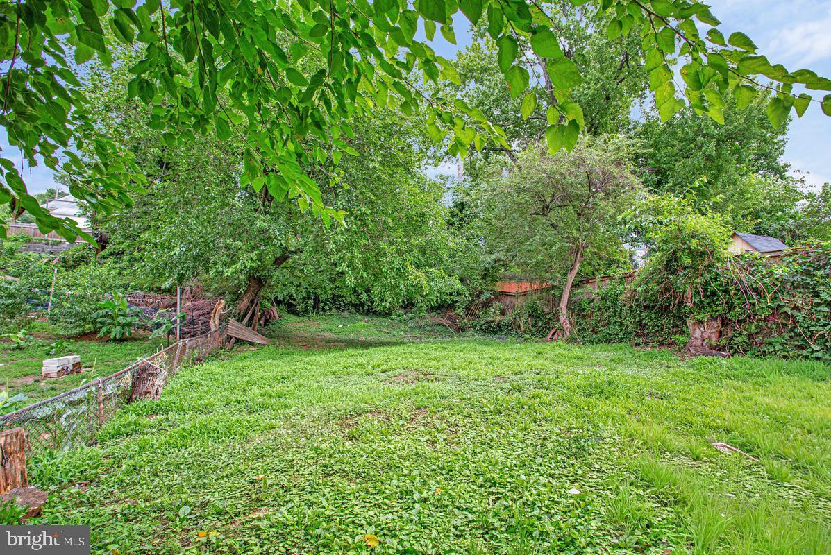 PALMER PARK - Residential