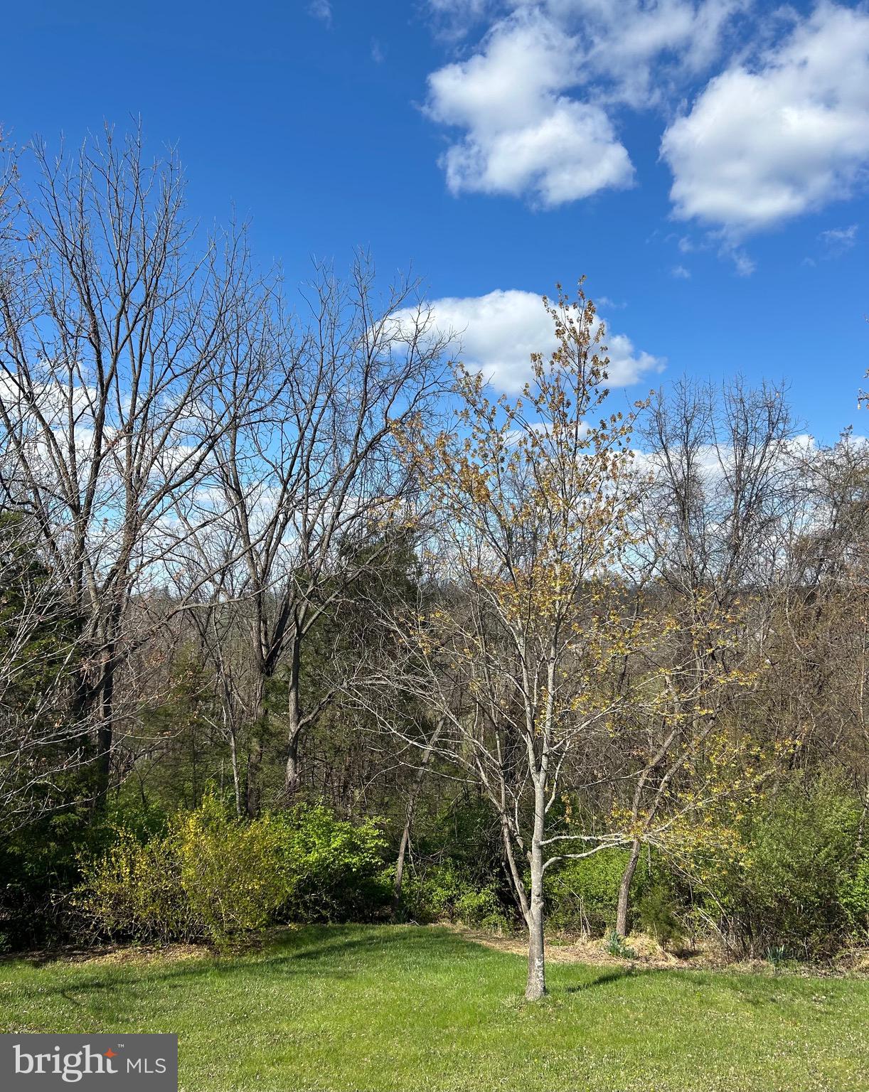 STONEBRIDGE - Residential