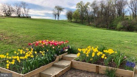 BLACK OAK RIDGE - Residential