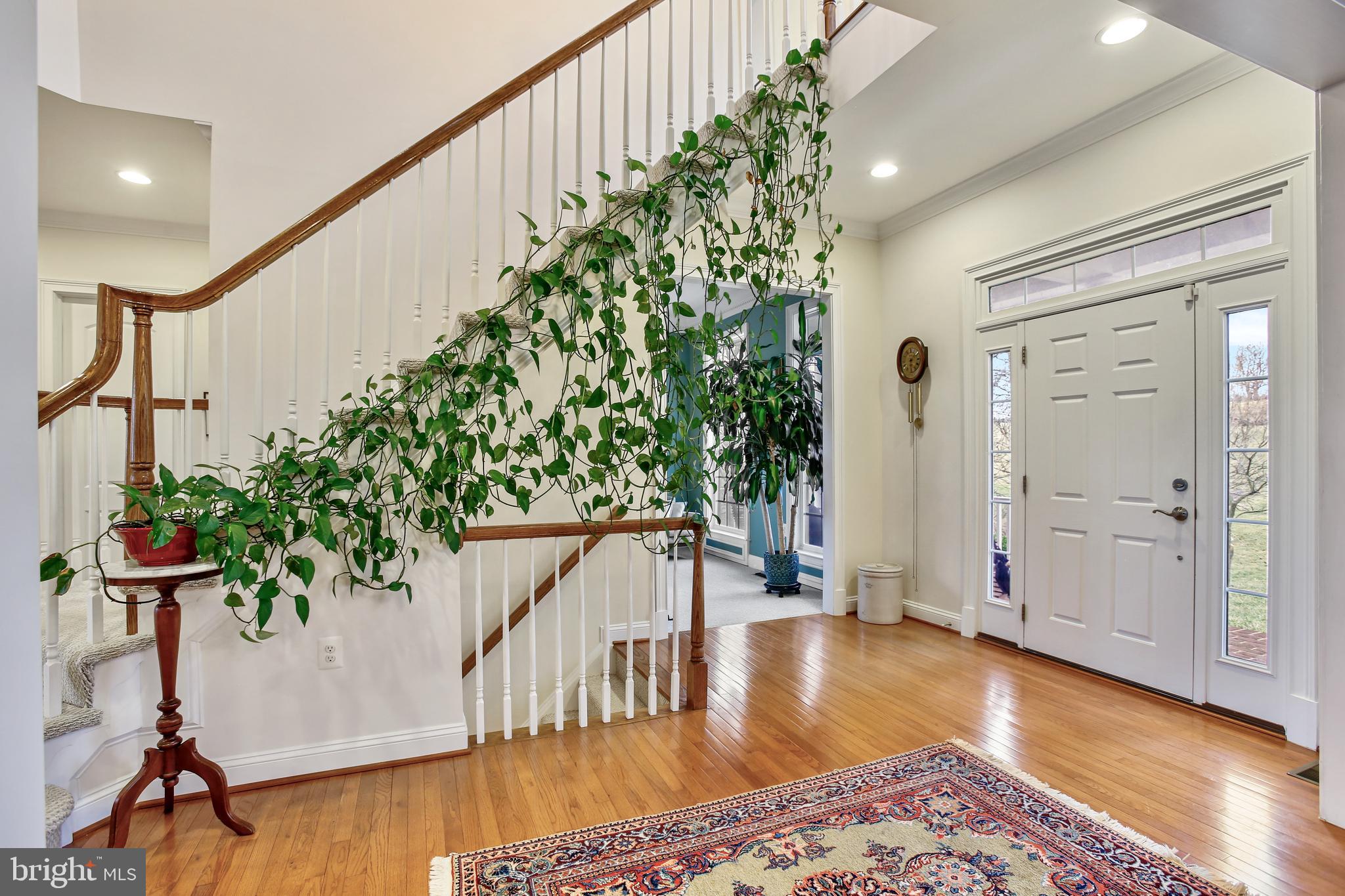 BLACK OAK RIDGE - Residential