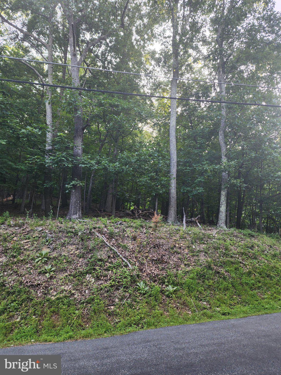 BULL RUN MOUNTAIN ESTATE - Land