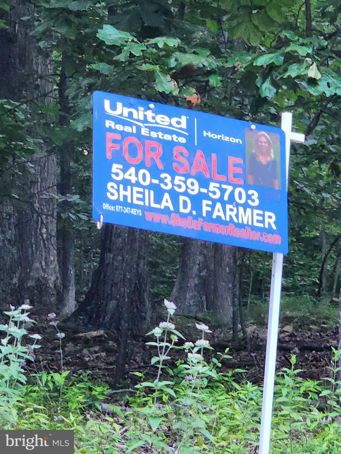 BULL RUN MOUNTAIN ESTATE - Land