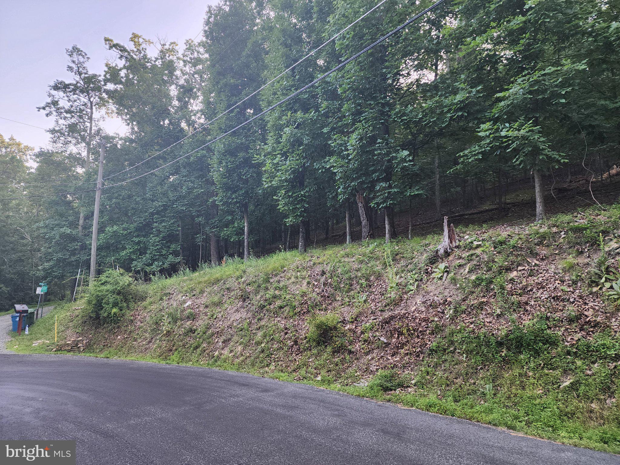 BULL RUN MOUNTAIN ESTATE - Land