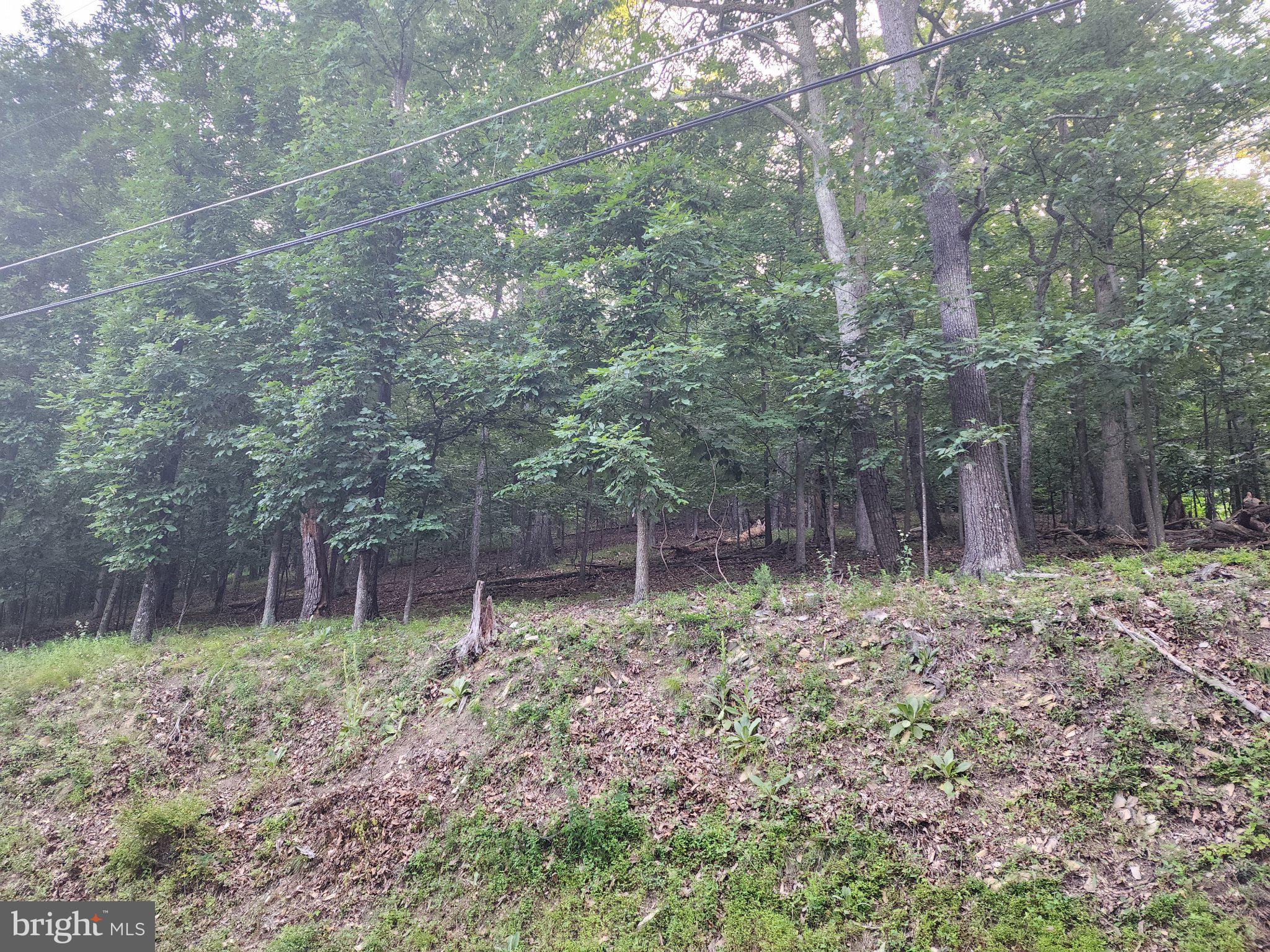 BULL RUN MOUNTAIN ESTATE - Land