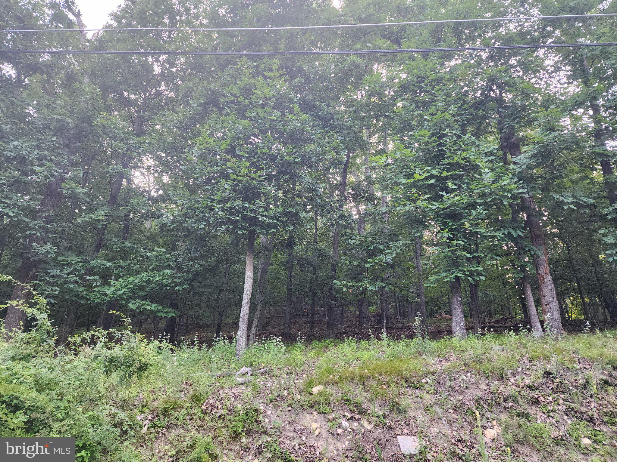 BULL RUN MOUNTAIN ESTATE - Land