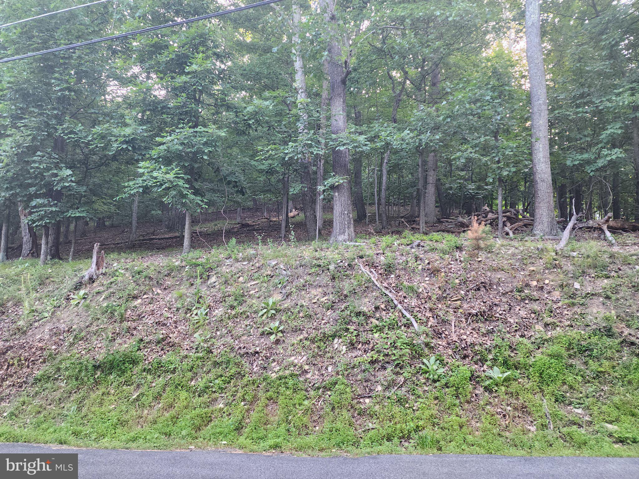 BULL RUN MOUNTAIN ESTATE - Land