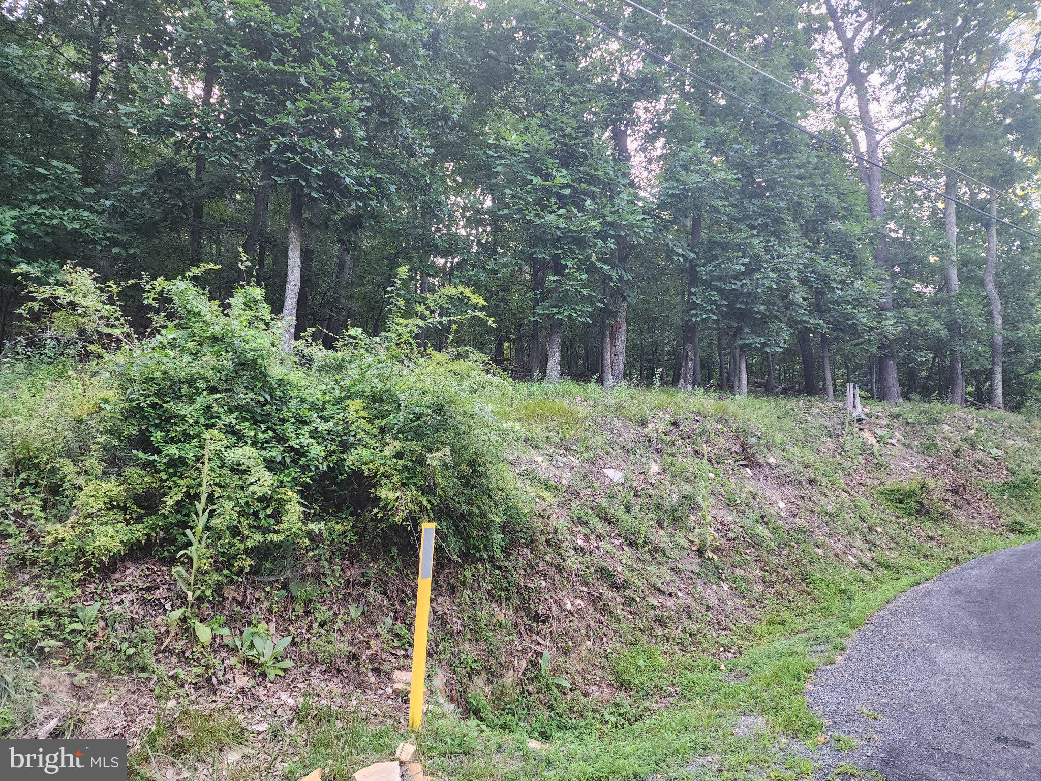 BULL RUN MOUNTAIN ESTATE - Land